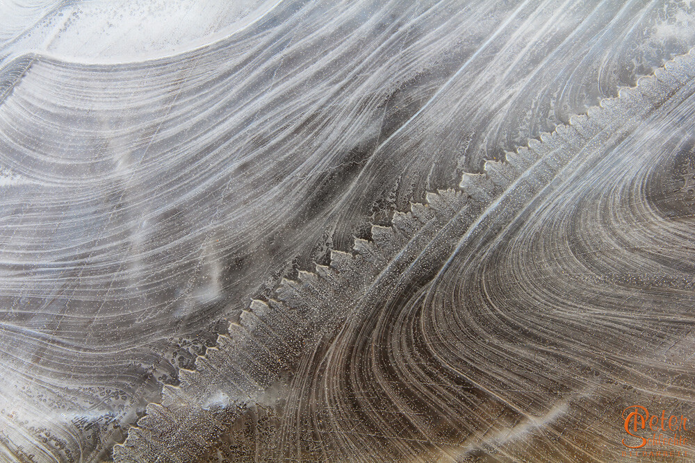 Eistrukturen in einem bayerischen Wasserbottich.
