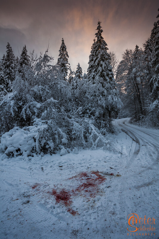 Blutflecke in einem idyllischen Winterwald? Wahrscheinlich nur ein legaler Mord ;)